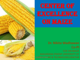 CENTRE OF EXCELLENCE ON PROCESSING & VALUE ADDITION OF MAIZE -Udaipur,Rajasthan