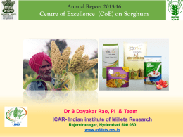 CENTRE OF EXCELLENCE on Sorghum Report- NFSM on Coarse Cereals- Hyderabad(AP)