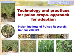 Indian Institute of Pulses Research,Kanpur