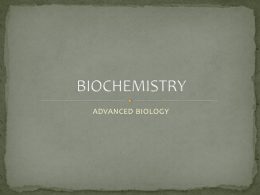 biochemistry notes w packet edit