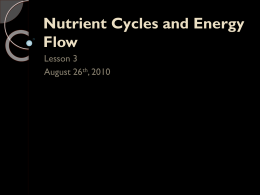 snc1d u1 lesson 3 nutrient cycles and energy flow
