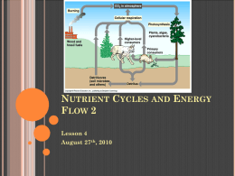 snc1d u1 lesson 4  nutrient cycles and energy flow 2