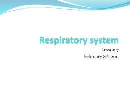 snc1l u2l7 respiratory system