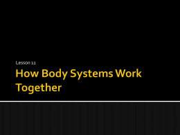 snc1l u2l11 how body systems work together