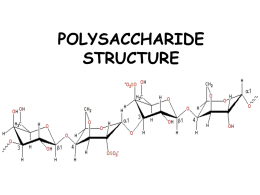 D24BT1_and_D223F9_Polysaccharide.ppt