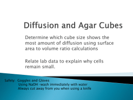 Diffusion and Agar Cube Lab Ppt