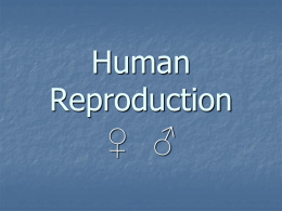 Human_Reproduction.ppt