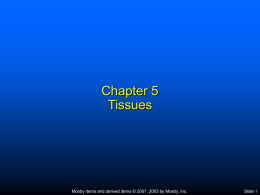 Chapter_005.ppt