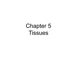 Chapter_5_Notes_Part_1.ppt