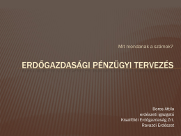 Erdőgazdas&aacute;gi_p&eacute;nz&uuml;gyi_tervez&eacute;s.pptx