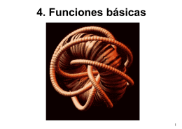 4_Funciones_basicas.ppt