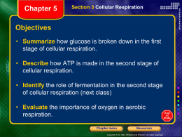 CH4.4-4.5 Cellular Respiration