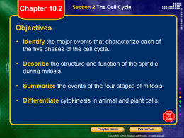 Chapter 10.2 The Cell Cycle Mitosis