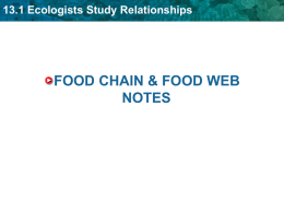 Food Web Food Chain Notes