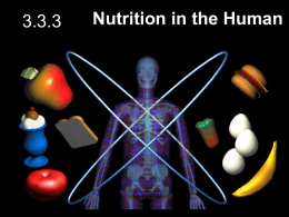 3.3.3 nutrition in the human