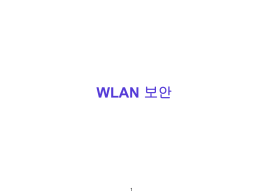 WLAN Security(2008.06.10)
