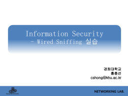 Wired_Sniffing(2014).ppt