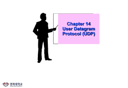 Chapter14(UDP)