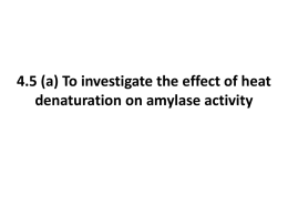 Denature Amylase Procedure