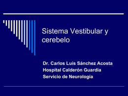 Sistema Vestibular y Cerebelo