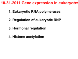 gene expression in eukaryotes transcript