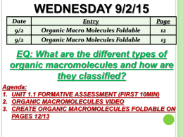 Organic Macromolecules Foldable Pre AP.ppt