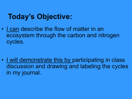 I) 1. Carbon and Nitrogen Cycle Discussion Notes.ppt