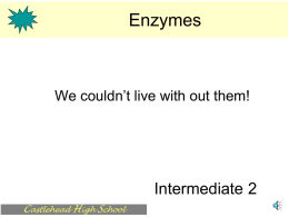 Enzyme Structure and purpose.ppt