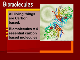 Biomolecules.ppt