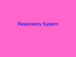 Respiratory PPT.ppt