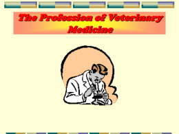 The Profession of Veterinary Medicine.ppt