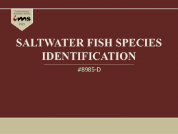 Saltwater Fish Species Identification - Slideshow.pptx