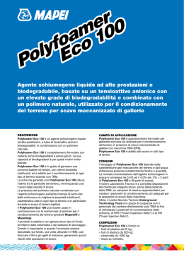 Polyfoamer Eco 100 Polyfoamer Eco 100