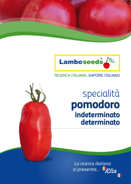 pomodoro - Lamboseeds