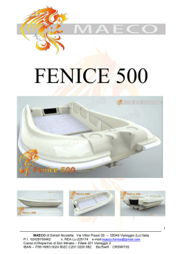 FENICE 500