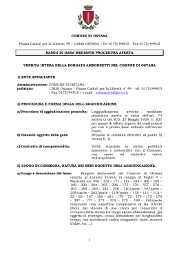 2016-43 Alllegato Bando Vendita Ambornetti