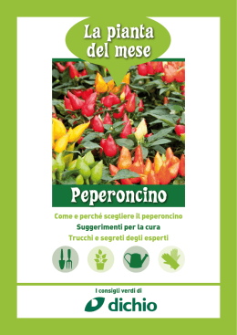 Peperoncino - Dichio vivai garden