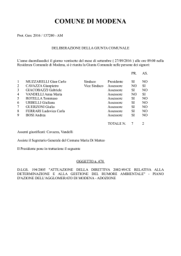 Delibera di Giunta di approvazione del Piano d`Azione