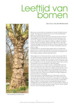 Leeftijd van bomen - Arboretum Oudenbosch