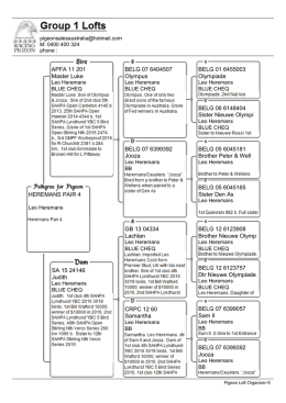 Pedigree - pigeon sales