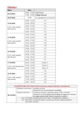 Piano delle attivit&agrave; e impegni