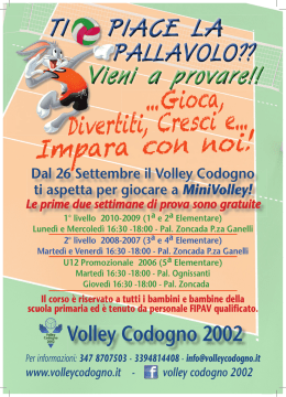 volantino - Volley Codogno 2002