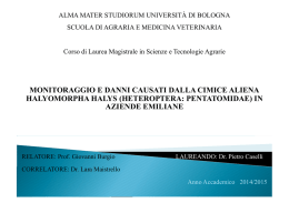 Presentazione tesi Pietro Caselli.pptx