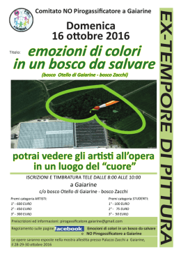 Emozioni di colori in un bosco da salvare