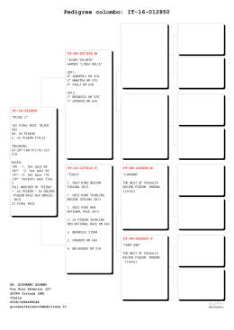Pedigree colombo: IT-16