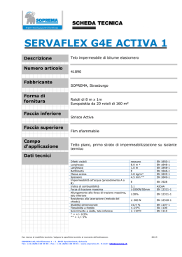 servaflex g4e activa 1