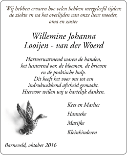 Willemine Johanna Looijen
