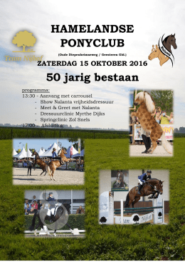 hamelandse ponyclub flyer