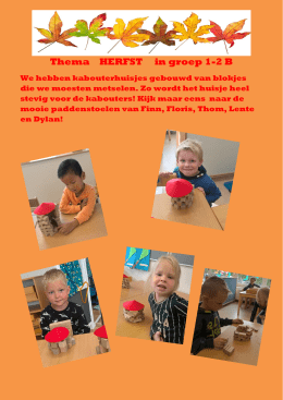 Thema HERFST in groep 1