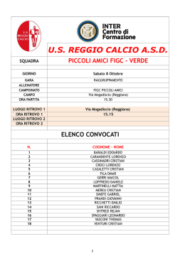 2010 SABATO 8-ott (DON BOSCO 15:30) Raduno Piccoli Amici